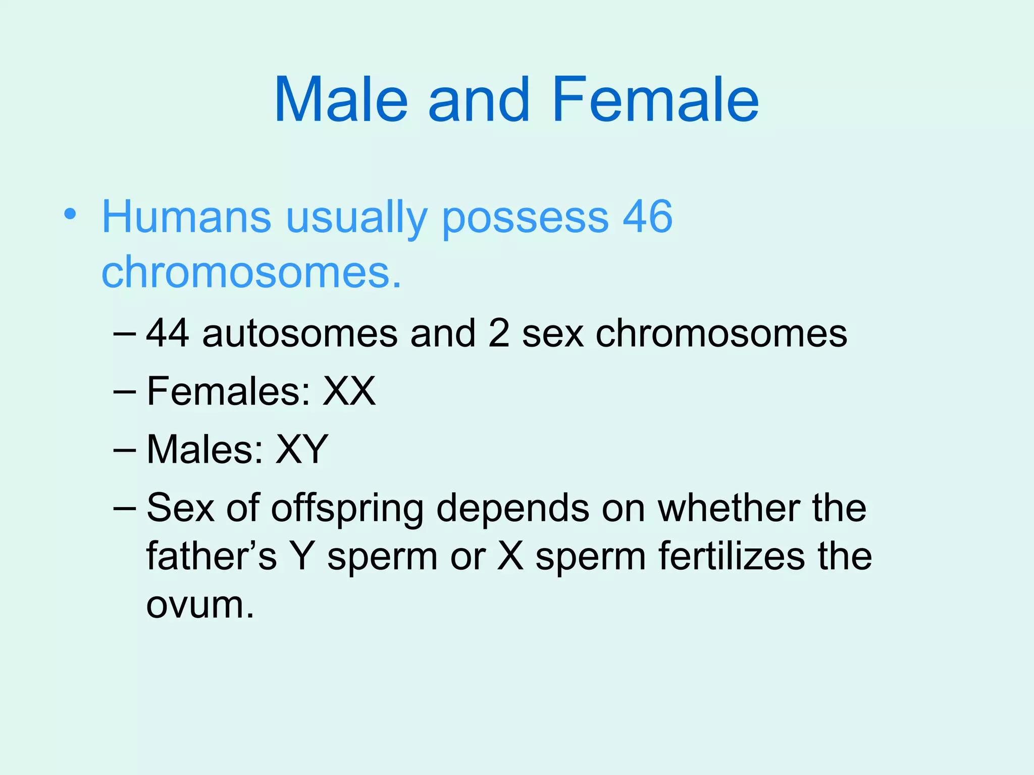 Male and Female
• Humans usually possess 46
  chromosomes.
  – 44 autosomes and 2 sex chromosomes
  – Females: XX
  – Males: XY
  – Sex of offspring depends on whether the
    father’s Y sperm or X sperm fertilizes the
    ovum.
 