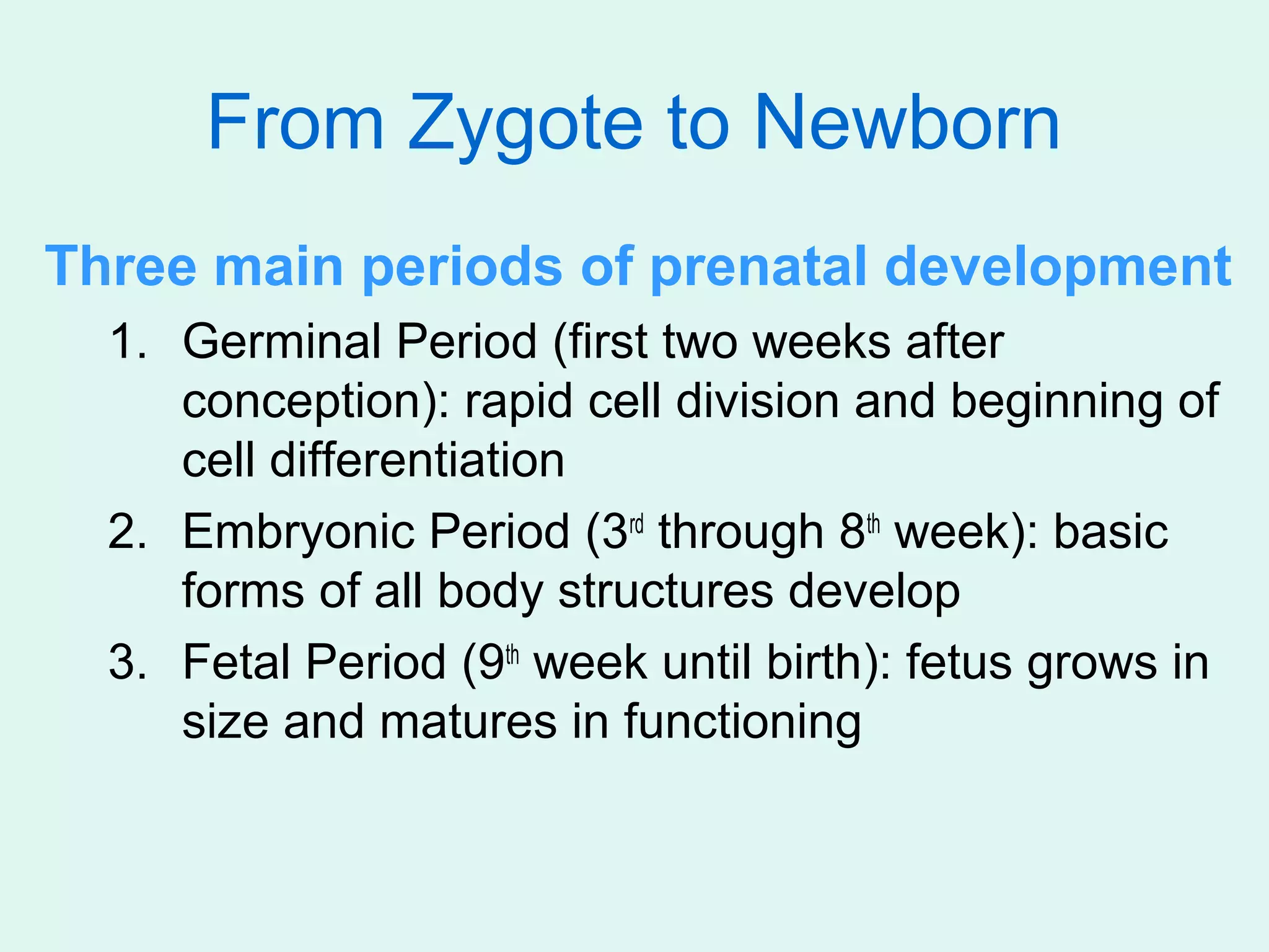 From Zygote to Newborn
Three main periods of prenatal development
  1. Germinal Period (first two weeks after
     conception): rapid cell division and beginning of
     cell differentiation
  2. Embryonic Period (3rd through 8th week): basic
     forms of all body structures develop
  3. Fetal Period (9th week until birth): fetus grows in
     size and matures in functioning
 
