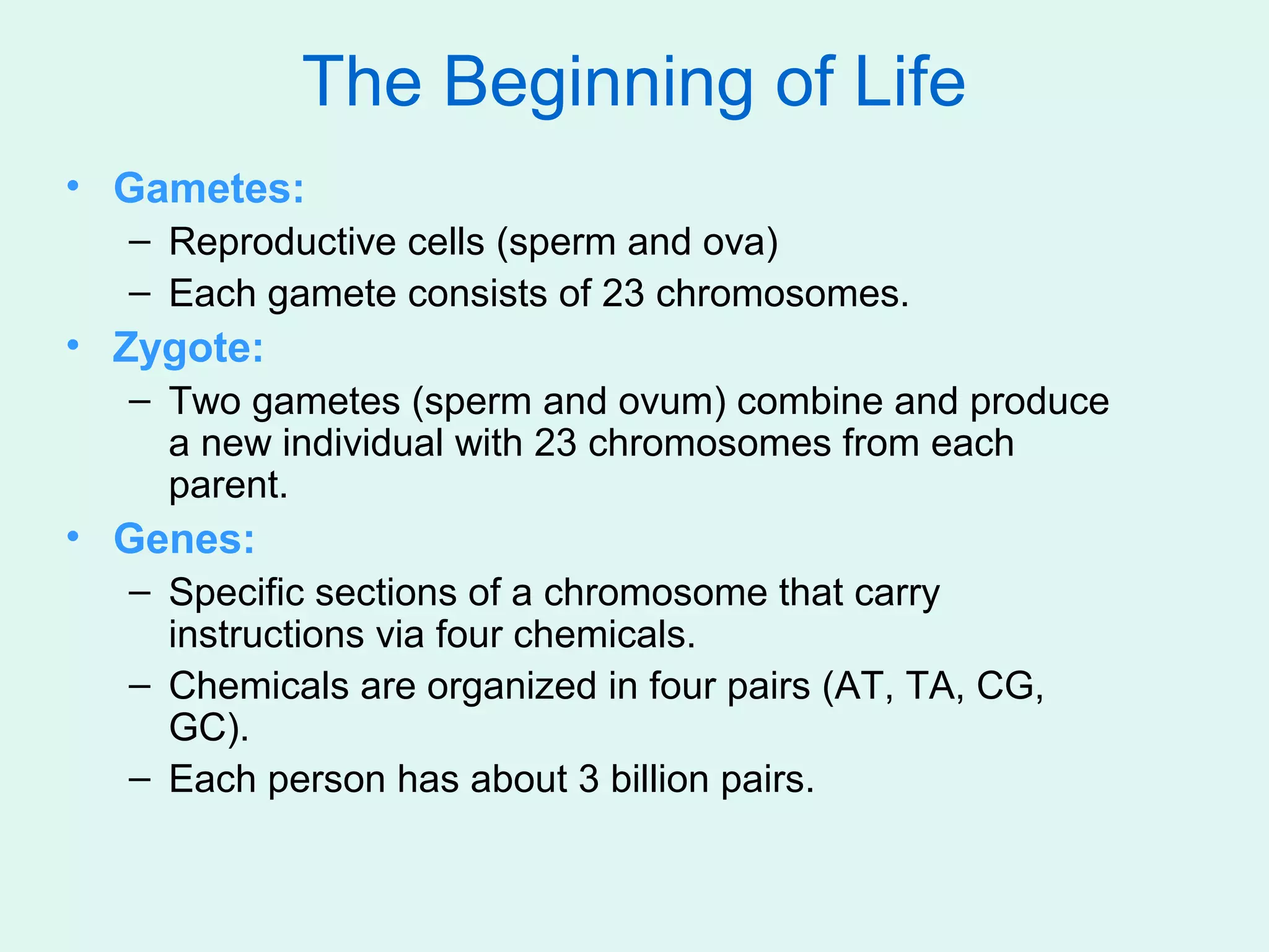 The Beginning of Life
• Gametes:
  – Reproductive cells (sperm and ova)
  – Each gamete consists of 23 chromosomes.
• Zygote:
  – Two gametes (sperm and ovum) combine and produce
    a new individual with 23 chromosomes from each
    parent.
• Genes:
  – Specific sections of a chromosome that carry
    instructions via four chemicals.
  – Chemicals are organized in four pairs (AT, TA, CG,
    GC).
  – Each person has about 3 billion pairs.
 