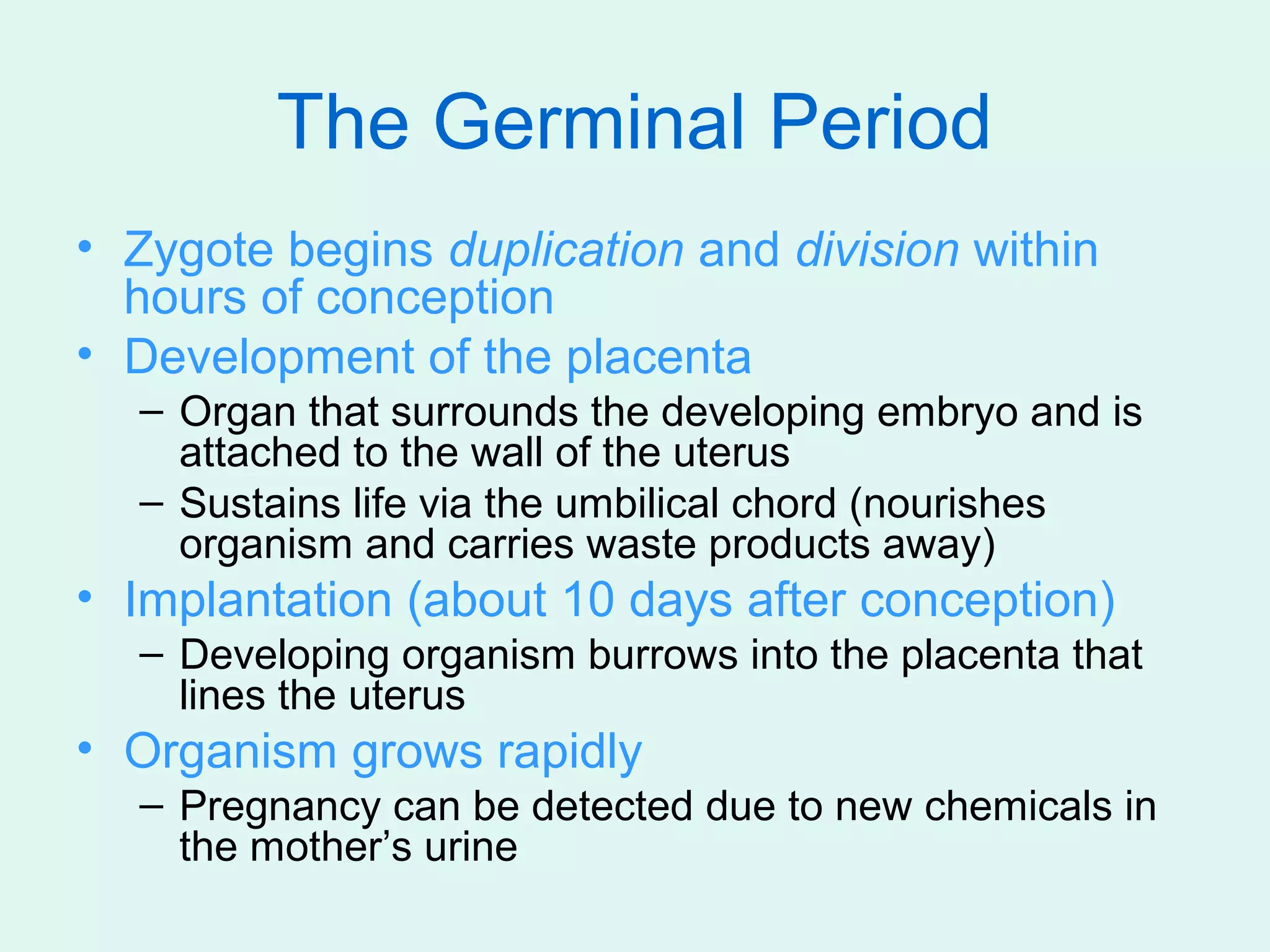 The Germinal Period
• Zygote begins duplication and division within
  hours of conception
• Development of the placenta
  – Organ that surrounds the developing embryo and is
    attached to the wall of the uterus
  – Sustains life via the umbilical chord (nourishes
    organism and carries waste products away)
• Implantation (about 10 days after conception)
  – Developing organism burrows into the placenta that
    lines the uterus
• Organism grows rapidly
  – Pregnancy can be detected due to new chemicals in
    the mother’s urine
 