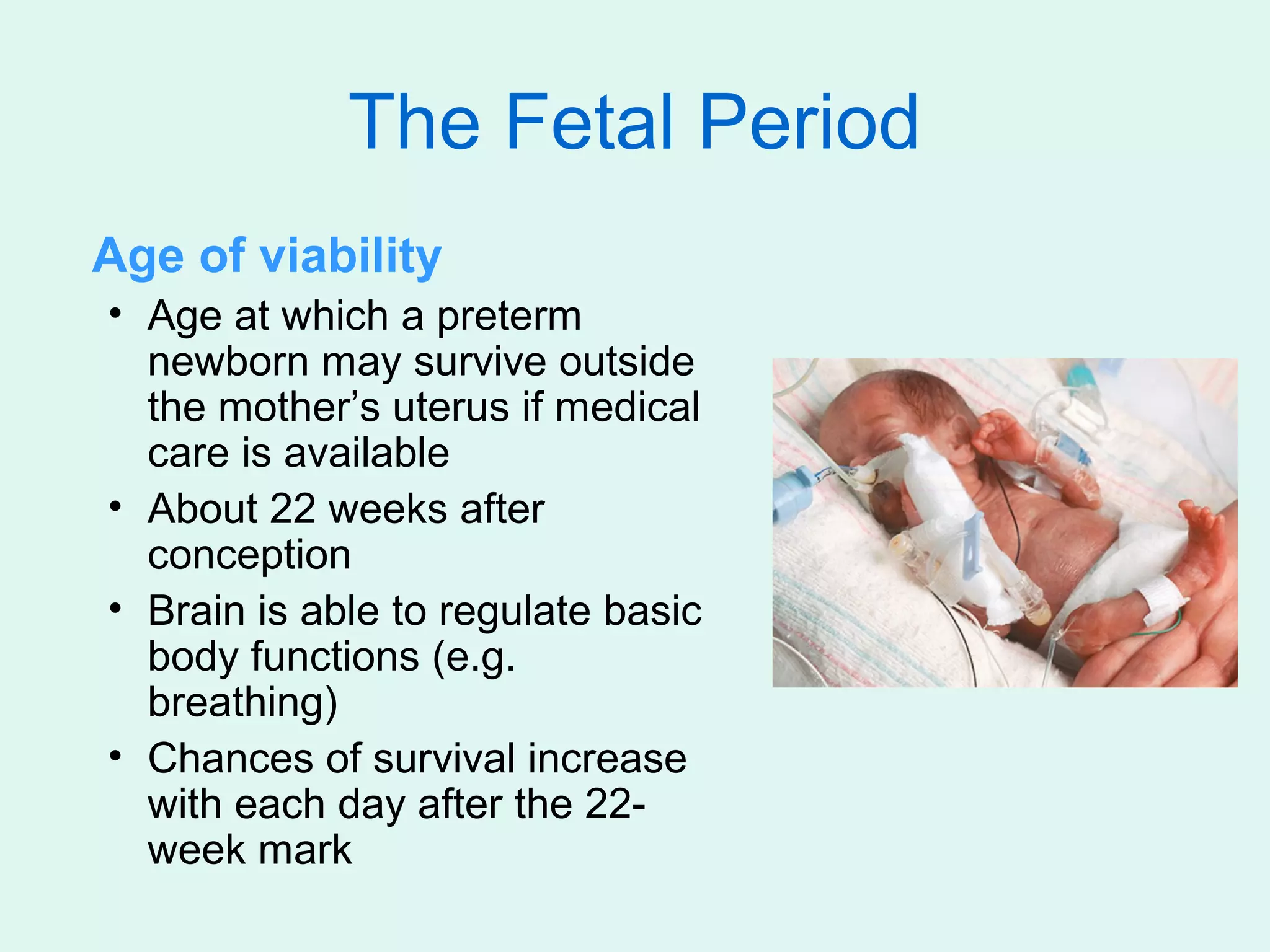 The Fetal Period
Age of viability
• Age at which a preterm
  newborn may survive outside
  the mother’s uterus if medical
  care is available
• About 22 weeks after
  conception
• Brain is able to regulate basic
  body functions (e.g.
  breathing)
• Chances of survival increase
  with each day after the 22-
  week mark
 