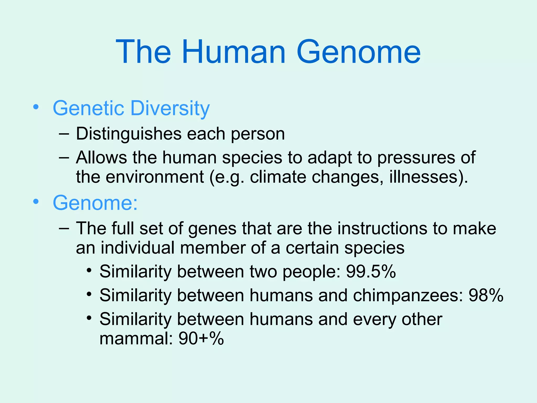 The Human Genome
• Genetic Diversity
  – Distinguishes each person
  – Allows the human species to adapt to pressures of
    the environment (e.g. climate changes, illnesses).
• Genome:
  – The full set of genes that are the instructions to make
    an individual member of a certain species
     • Similarity between two people: 99.5%
     • Similarity between humans and chimpanzees: 98%
     • Similarity between humans and every other
       mammal: 90+%
 