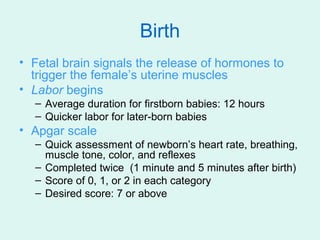 Birth
• Fetal brain signals the release of hormones to
  trigger the female’s uterine muscles
• Labor begins
  – Average d...