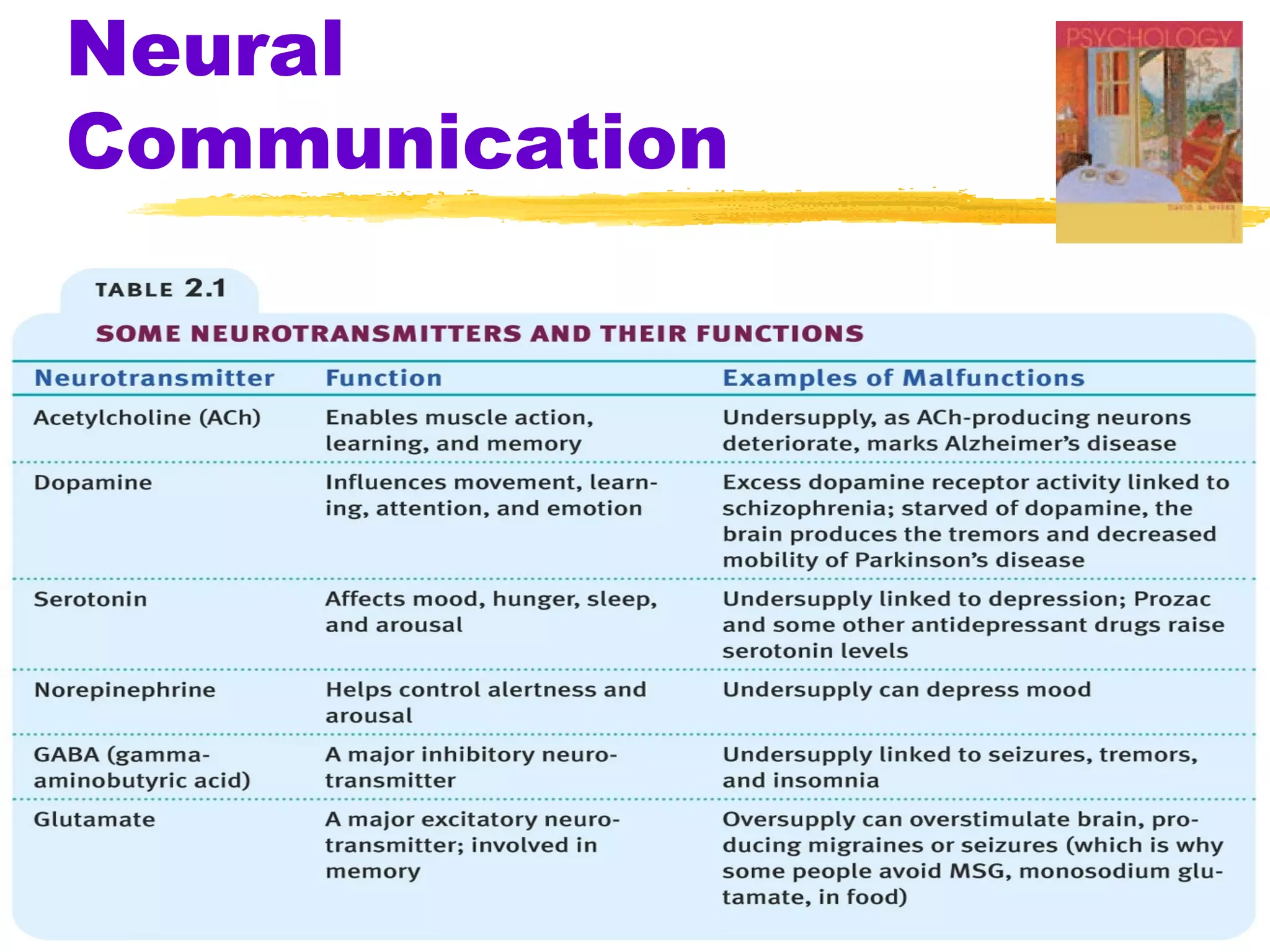 Neural
Communication
 