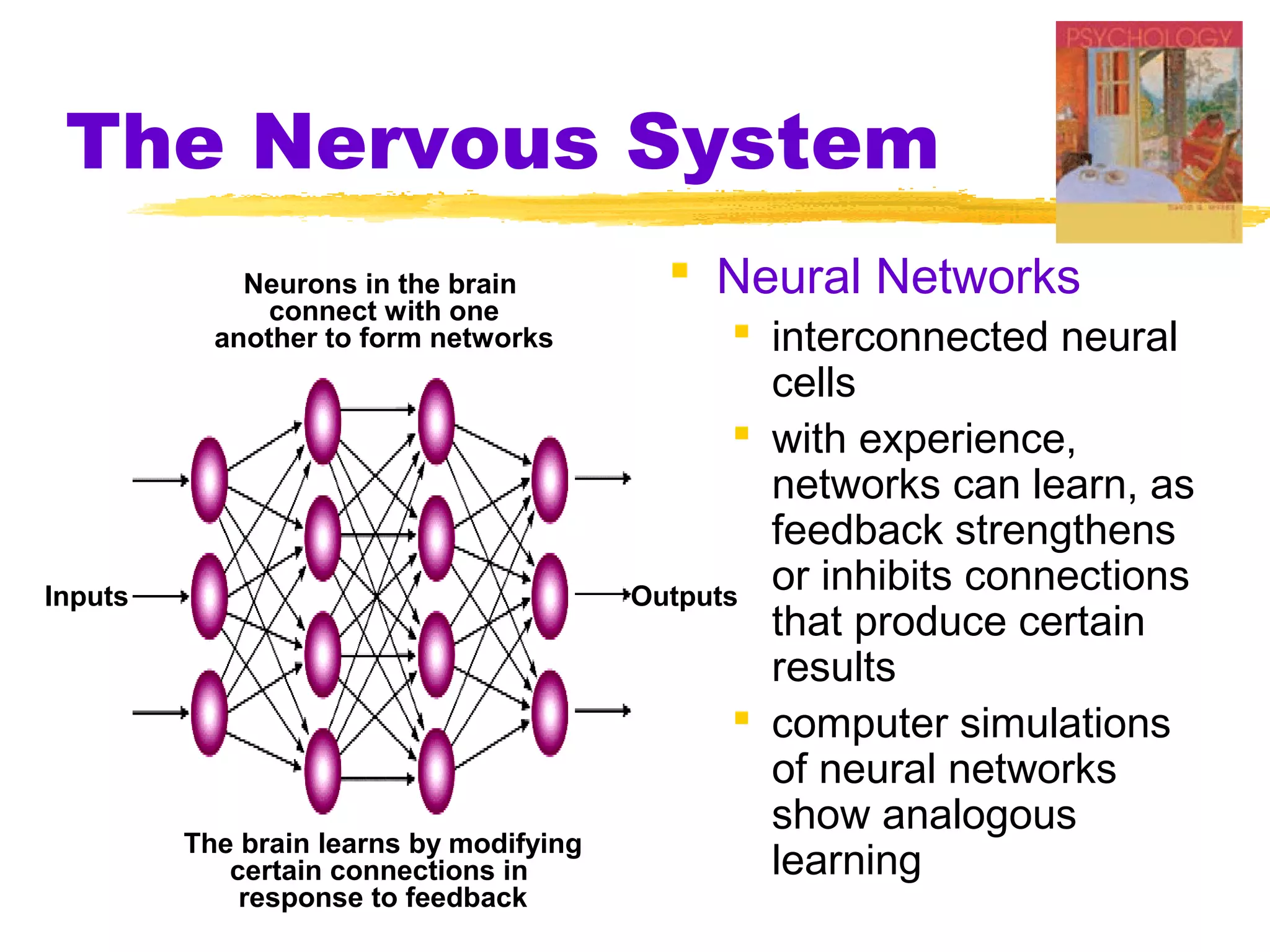The Nervous System
             Neurons in the brain           Neural Networks
               connect with one
           another to form networks              interconnected neural
                                                  cells
                                                 with experience,
                                                  networks can learn, as
                                                  feedback strengthens
Inputs                                   Outputs
                                                  or inhibits connections
                                                  that produce certain
                                                  results
                                                 computer simulations
                                                  of neural networks
                                                  show analogous
         The brain learns by modifying
            certain connections in                learning
             response to feedback
 