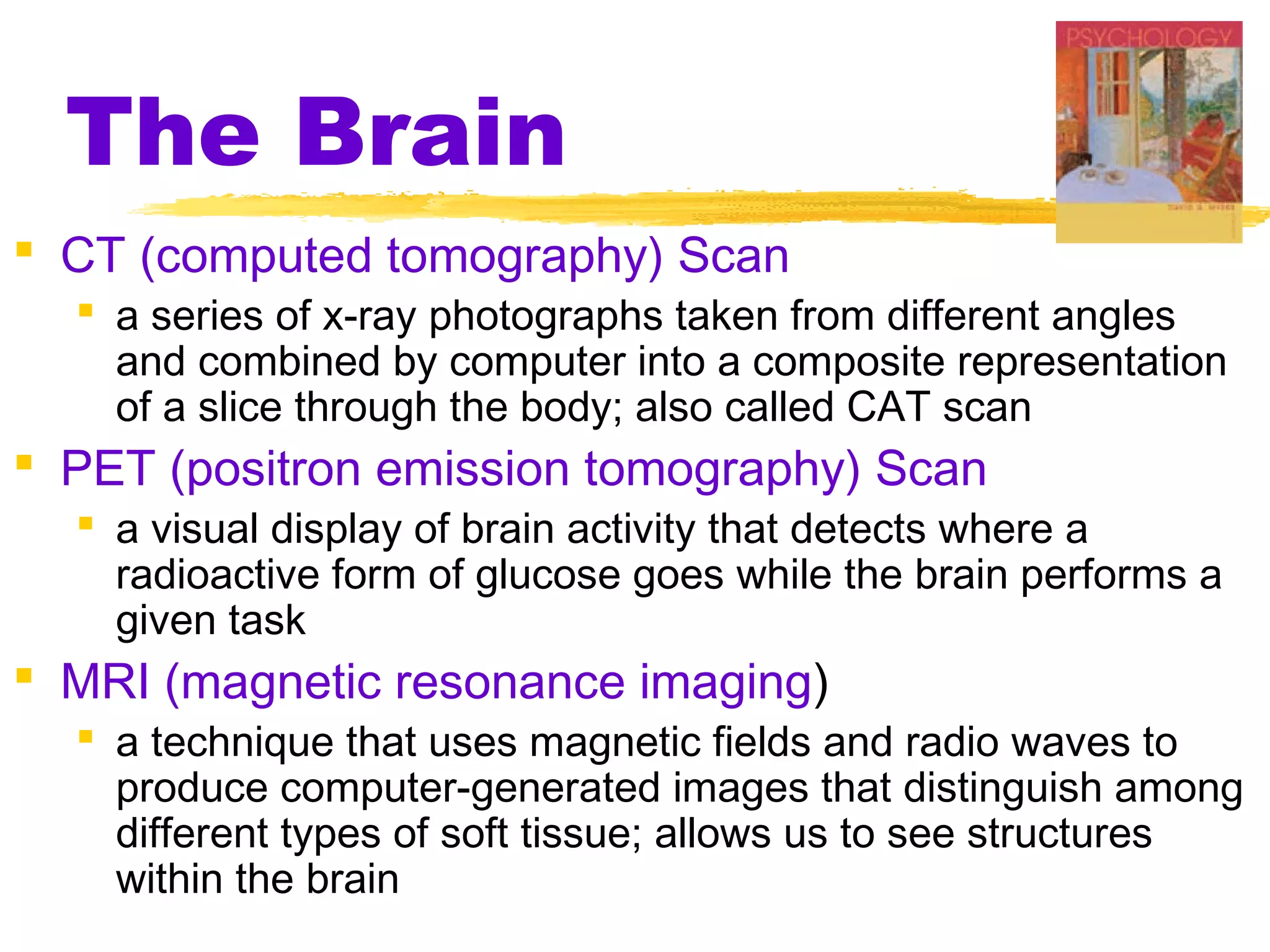 The Brain
 CT (computed tomography) Scan
   a series of x-ray photographs taken from different angles
    and combined by computer into a composite representation
    of a slice through the body; also called CAT scan
 PET (positron emission tomography) Scan
   a visual display of brain activity that detects where a
    radioactive form of glucose goes while the brain performs a
    given task
 MRI (magnetic resonance imaging)
   a technique that uses magnetic fields and radio waves to
    produce computer-generated images that distinguish among
    different types of soft tissue; allows us to see structures
    within the brain
 