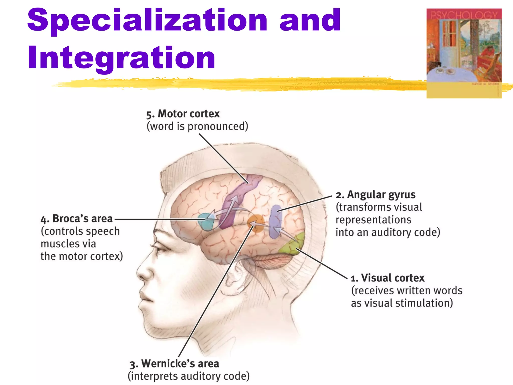 Specialization and
Integration
 
