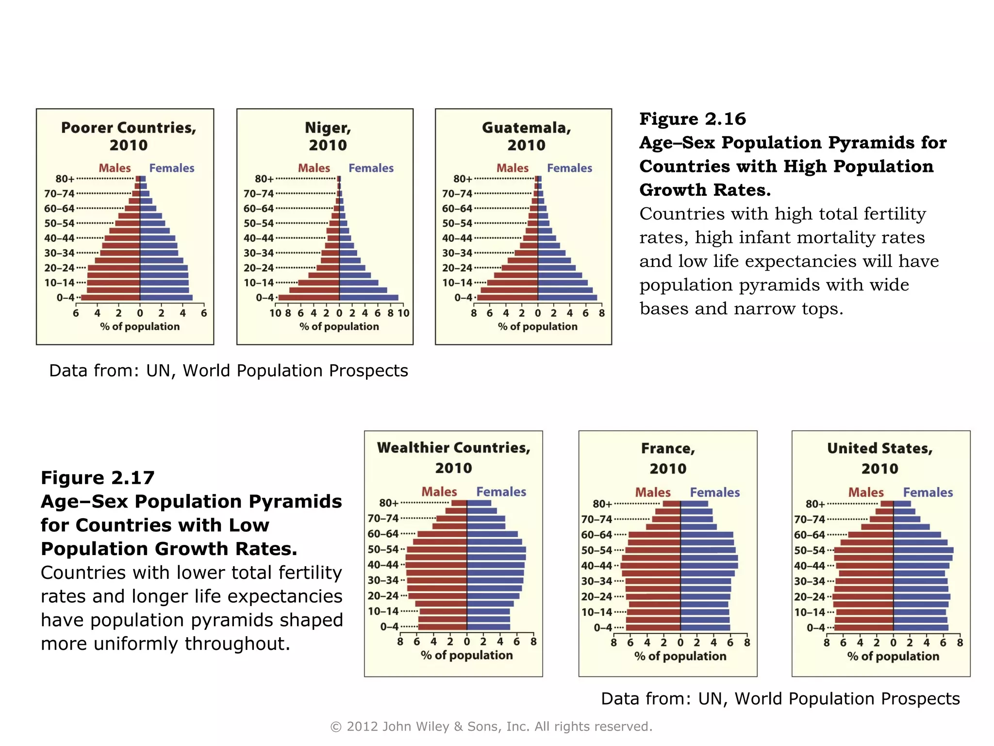 Figure 2.16
                                                                                  Age–Sex Population Pyramids for
                                                                                  Countries with High Population
                                                                                  Growth Rates.
                                                                                  Countries with high total fertility
                                                                                  rates, high infant mortality rates
                                                                                  and low life expectancies will have
                                                                                  population pyramids with wide
                                                                                  bases and narrow tops.


Data from: UN, World Population Prospects




Figure 2.17
Age–Sex Population Pyramids
for Countries with Low
Population Growth Rates.
Countries with lower total fertility
rates and longer life expectancies
have population pyramids shaped
more uniformly throughout.


                                                                            Data from: UN, World Population Prospects
                                  © 2012 John Wiley & Sons, Inc. All rights reserved.
 
