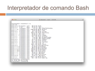 Interpretador de comando bash
 