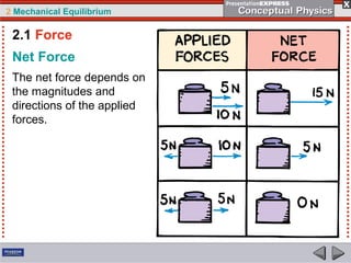 2 Mechanical Equilibrium
Net Force
The net force depends on
the magnitudes and
directions of the applied
forces.
2.1 Force
 