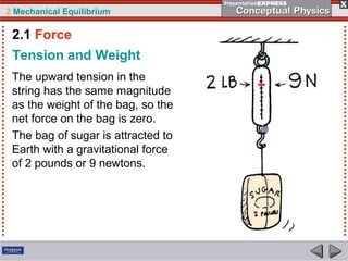 2 Mechanical Equilibrium
Tension and Weight
The upward tension in the
string has the same magnitude
as the weight of the bag, so the
net force on the bag is zero.
The bag of sugar is attracted to
Earth with a gravitational force
of 2 pounds or 9 newtons.
2.1 Force
 