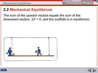 2 Mechanical Equilibrium
The sum of the upward vectors equals the sum of the
downward vectors. ΣF = 0, and the scaffold is in equilibrium.
2.2 Mechanical Equilibrium
 
