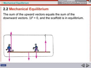 2 Mechanical Equilibrium
The sum of the upward vectors equals the sum of the
downward vectors. ΣF = 0, and the scaffold is in equilibrium.
2.2 Mechanical Equilibrium
 