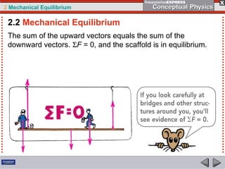 2 Mechanical Equilibrium
The sum of the upward vectors equals the sum of the
downward vectors. ΣF = 0, and the scaffold is in equilibrium.
2.2 Mechanical Equilibrium
 