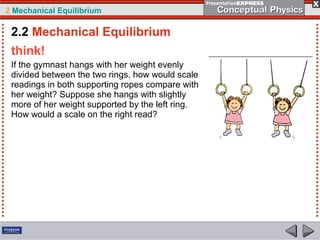 2 Mechanical Equilibrium
think!
If the gymnast hangs with her weight evenly
divided between the two rings, how would scale
readings in both supporting ropes compare with
her weight? Suppose she hangs with slightly
more of her weight supported by the left ring.
How would a scale on the right read?
2.2 Mechanical Equilibrium
 