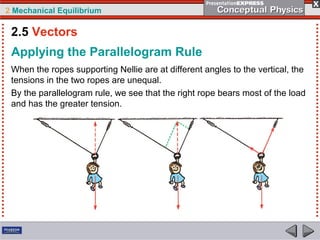 2 Mechanical Equilibrium
When the ropes supporting Nellie are at different angles to the vertical, the
tensions in the two ropes are unequal.
By the parallelogram rule, we see that the right rope bears most of the load
and has the greater tension.
Applying the Parallelogram Rule
2.5 Vectors
 