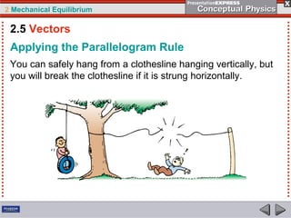 2 Mechanical Equilibrium
You can safely hang from a clothesline hanging vertically, but
you will break the clothesline if it is strung horizontally.
Applying the Parallelogram Rule
2.5 Vectors
 