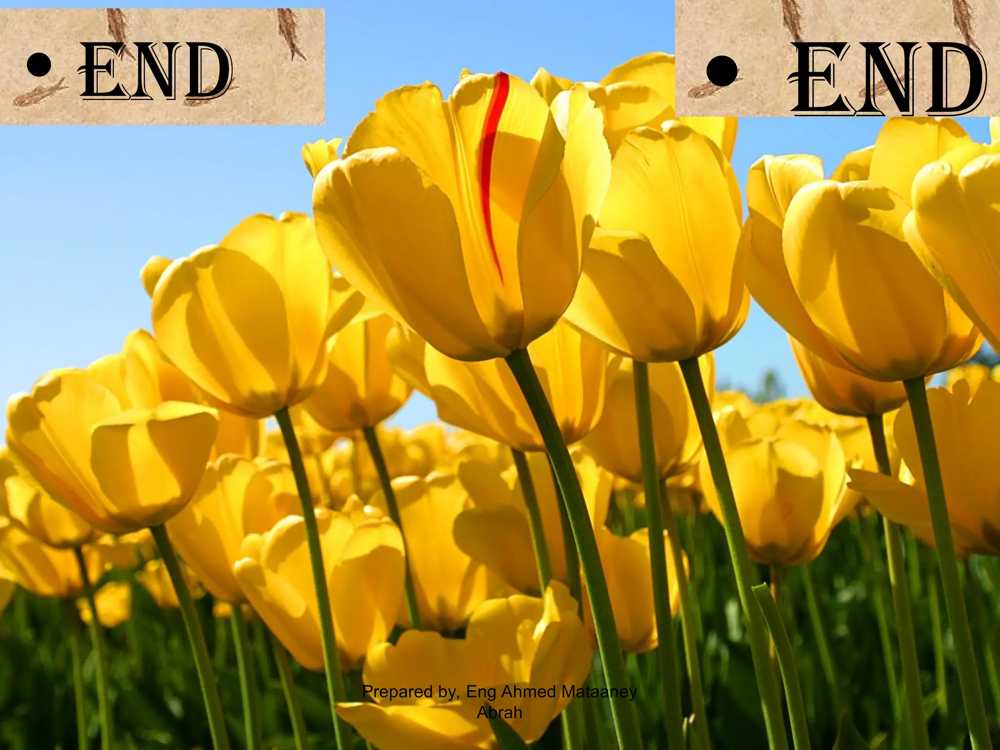 •END • END Prepared by, Eng Ahmed Mataaney Abrah 