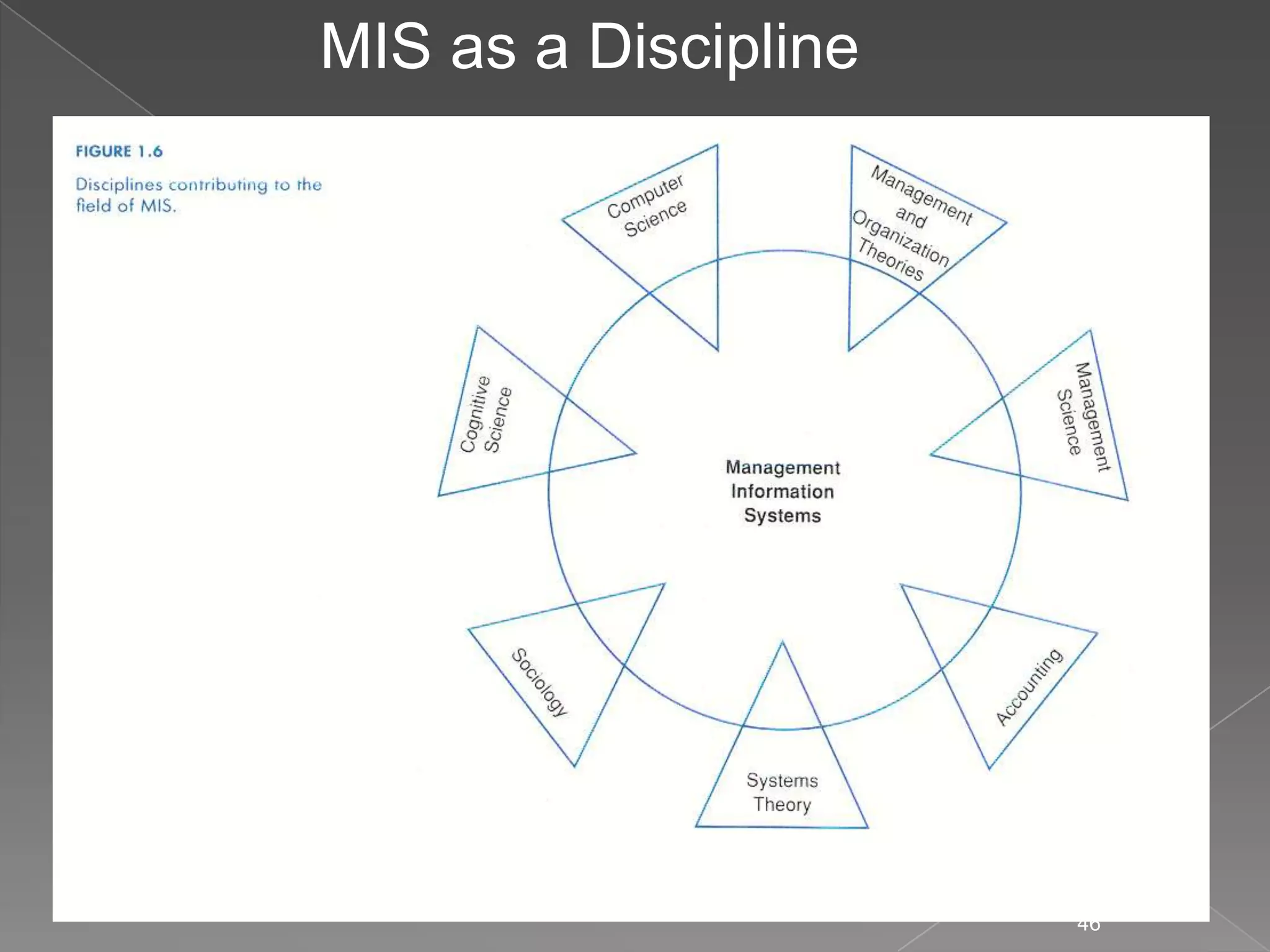 MIS as a Discipline




                      46
 