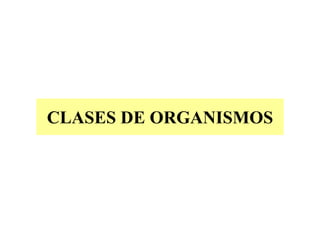 CLASES DE ORGANISMOS
 