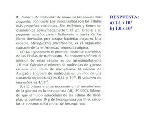RESPUESTA:
a) 1 1 x 104
   1.1
b) 1.0 x 104
 