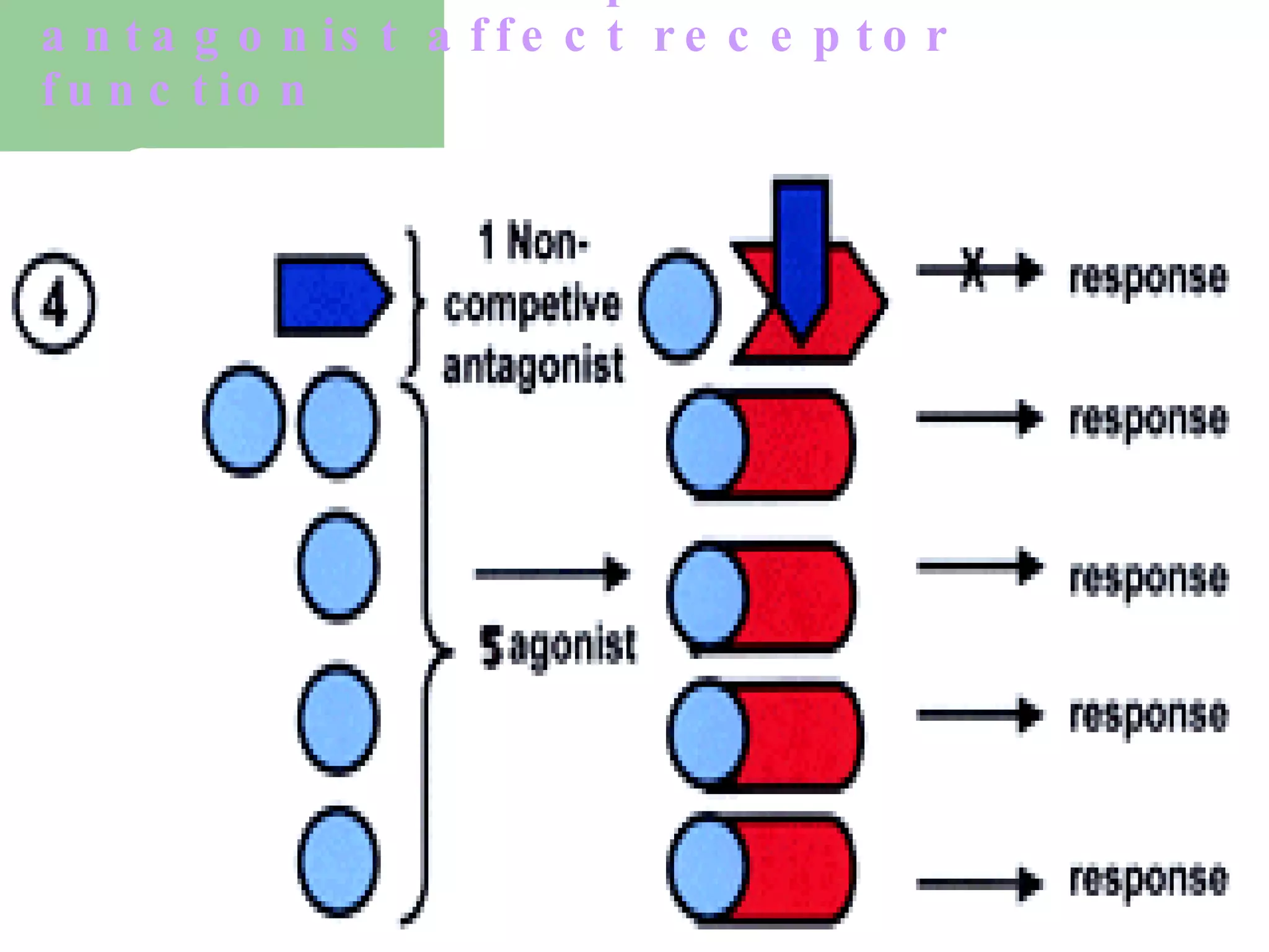 Ch02 Drug Receptor Interactions And Pharmacodynamics | PPT
