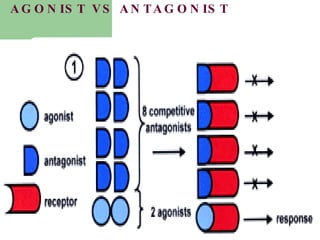 Ch02 Drug Receptor Interactions And Pharmacodynamics | PPT