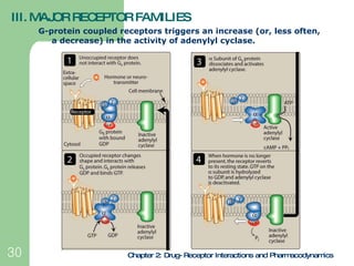 III. MAJOR RECEPTOR FAMILIES <ul><li>G-protein coupled receptors triggers an increase (or, less often, a decrease) in the ...