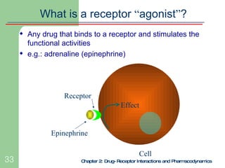Chapter 2: Drug-Receptor Interactions and Pharmacodynamics What is a receptor  “ agonist ” ? <ul><li>Any drug that binds t...
