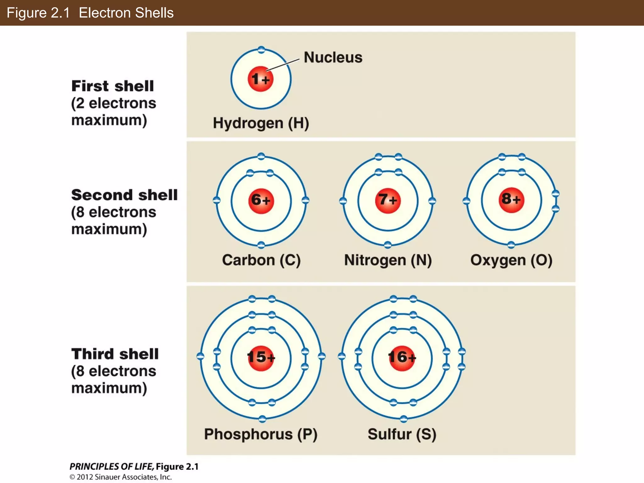 Figure 2.1 Electron Shells
 