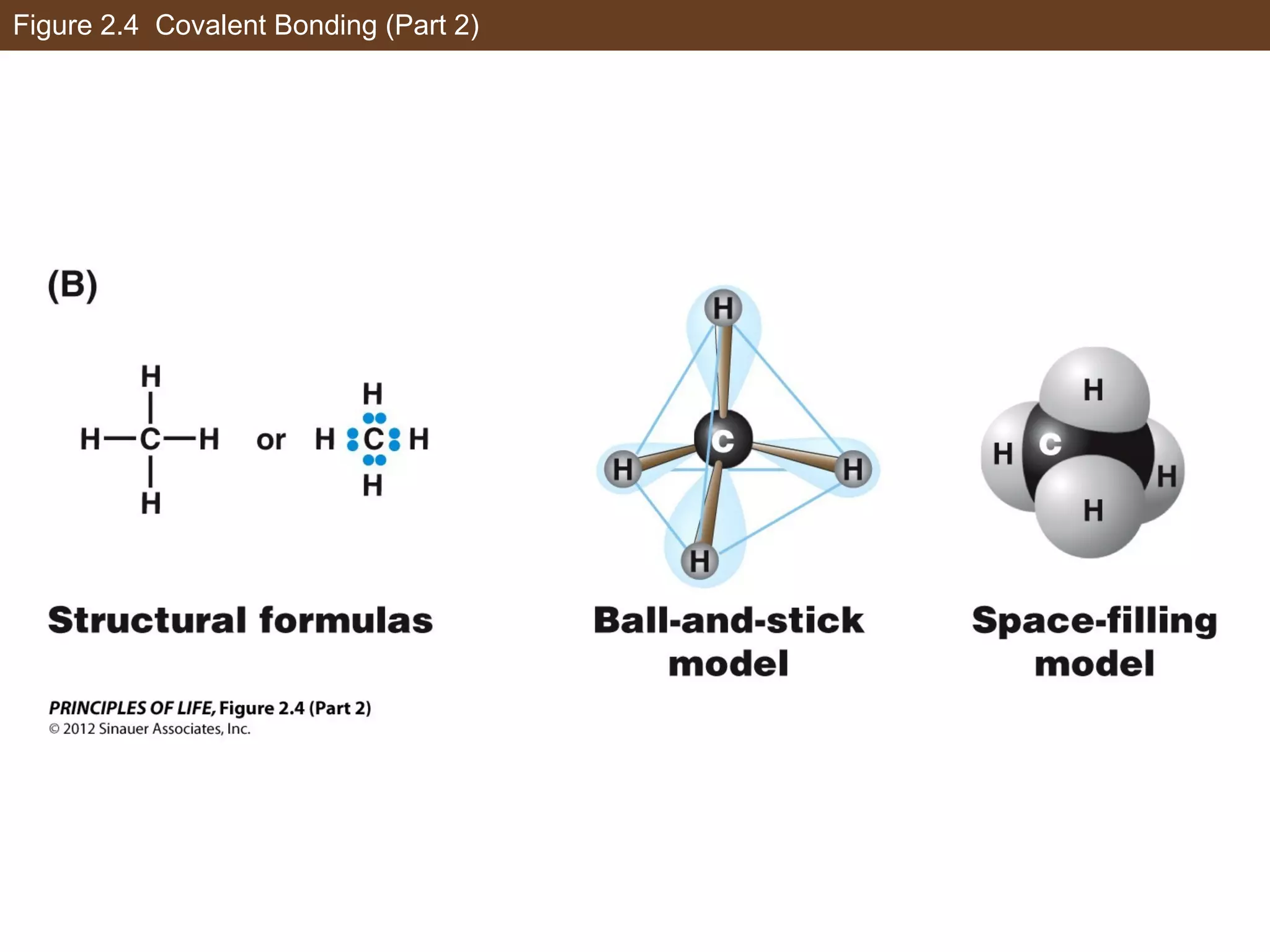 Figure 2.4 Covalent Bonding (Part 2)
 
