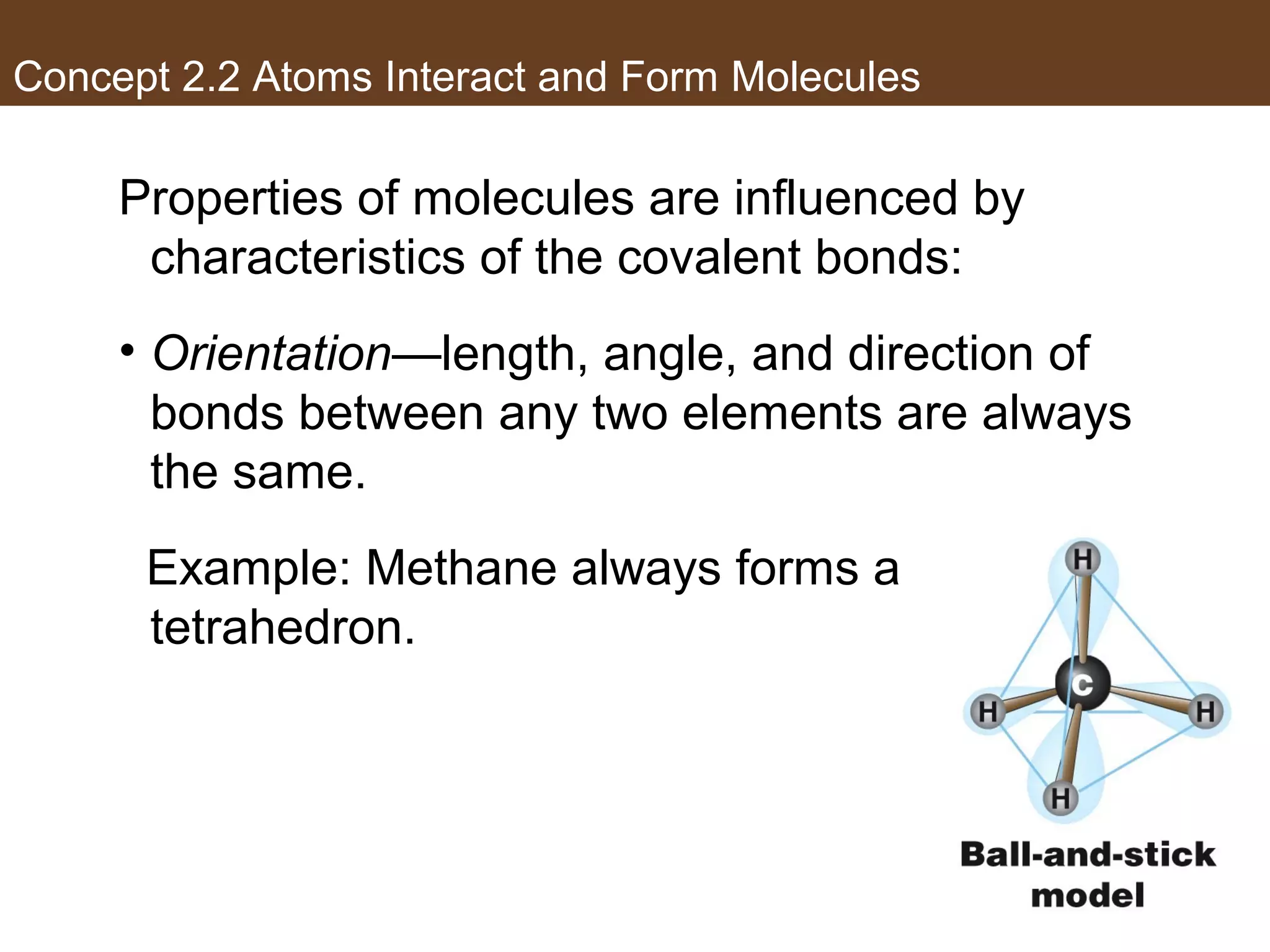 Concept 2.2 Atoms Interact and Form Molecules
Properties of molecules are influenced by
characteristics of the covalent bonds:
• Orientation—length, angle, and direction of
bonds between any two elements are always
the same.
Example: Methane always forms a
tetrahedron.
 
