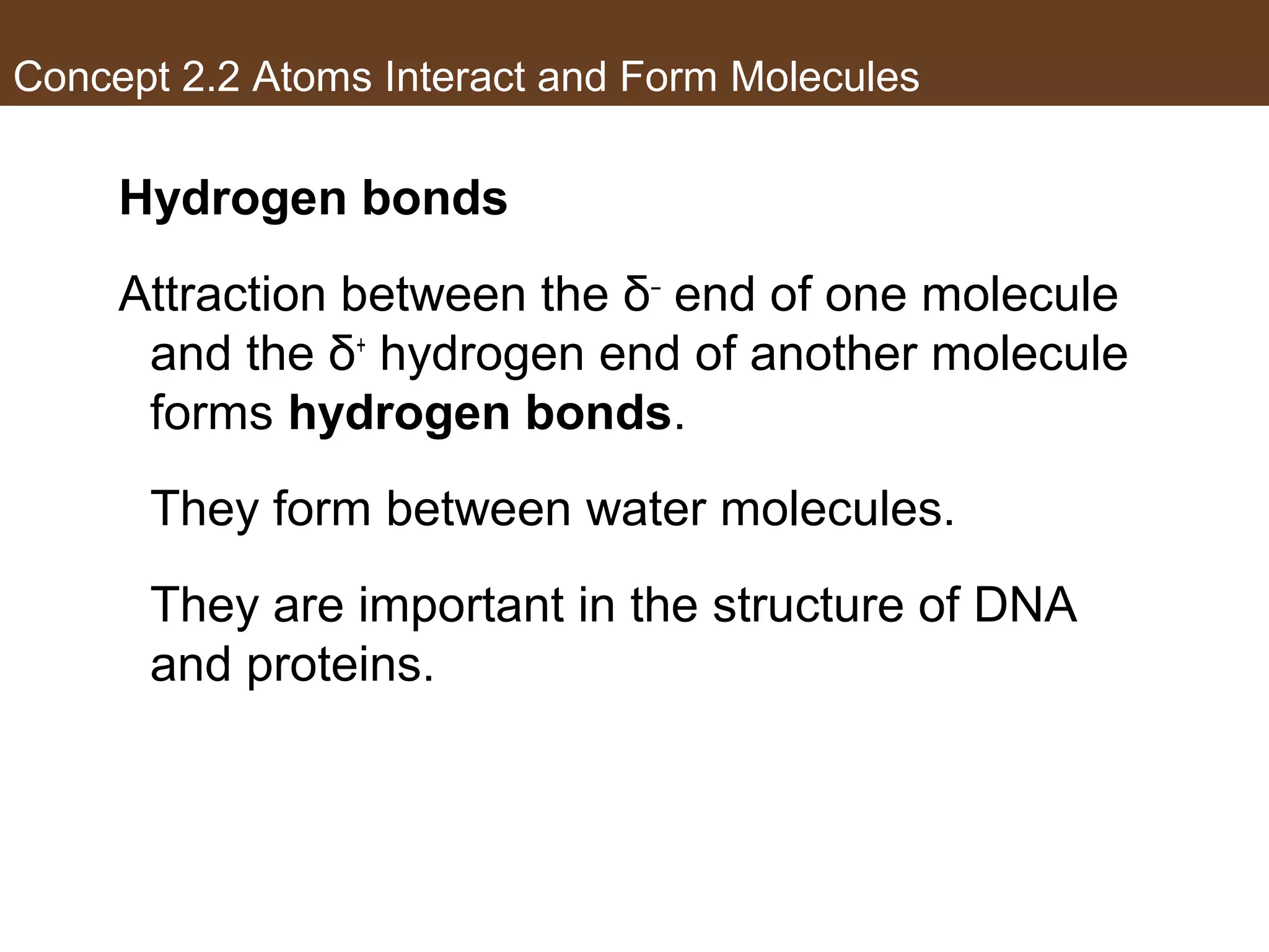 Concept 2.2 Atoms Interact and Form Molecules
Hydrogen bonds
Attraction between the δ–
end of one molecule
and the δ+
hydrogen end of another molecule
forms hydrogen bonds.
They form between water molecules.
They are important in the structure of DNA
and proteins.
 
