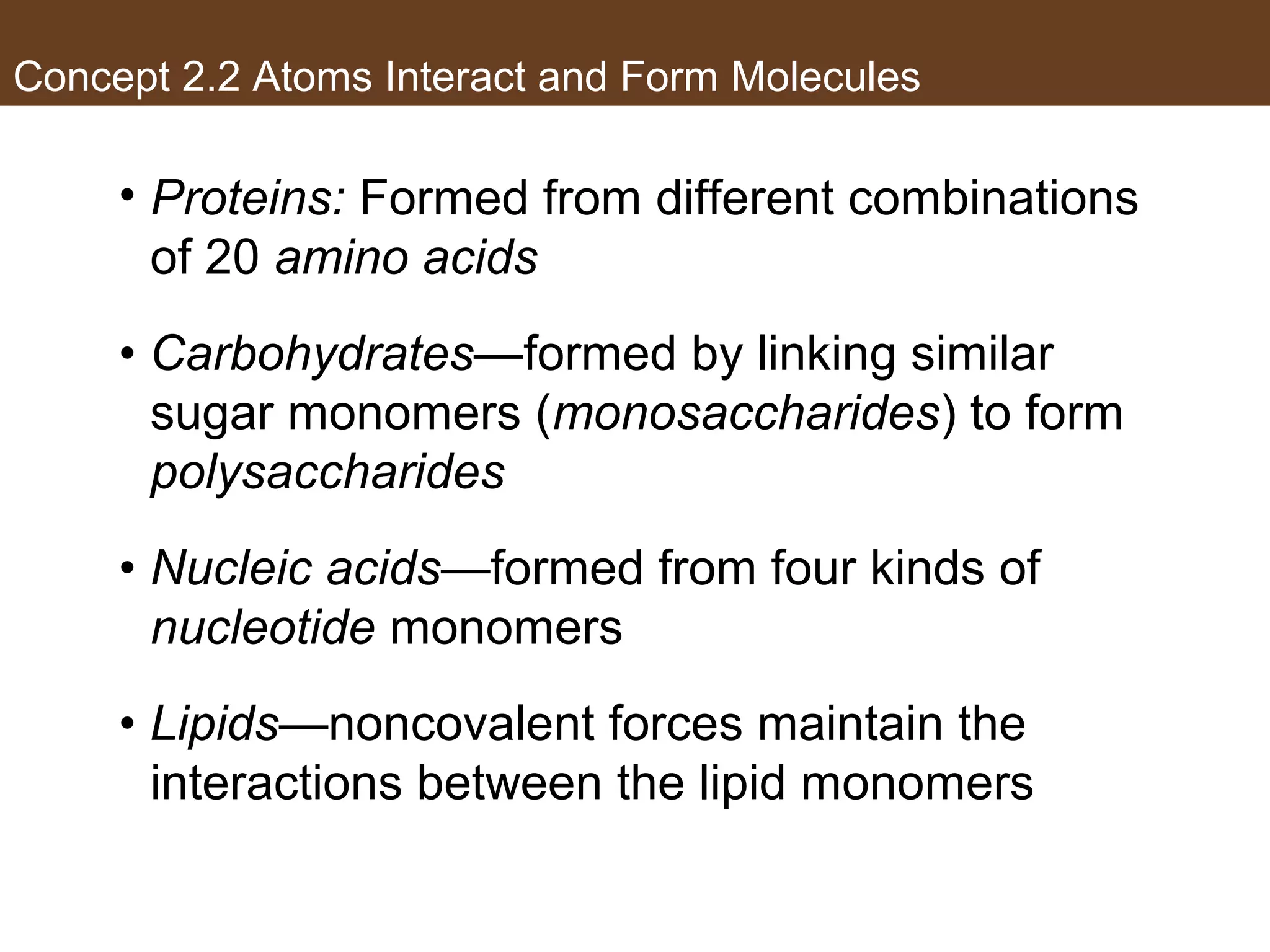 Concept 2.2 Atoms Interact and Form Molecules
• Proteins: Formed from different combinations
of 20 amino acids
• Carbohydrates—formed by linking similar
sugar monomers (monosaccharides) to form
polysaccharides
• Nucleic acids—formed from four kinds of
nucleotide monomers
• Lipids—noncovalent forces maintain the
interactions between the lipid monomers
 