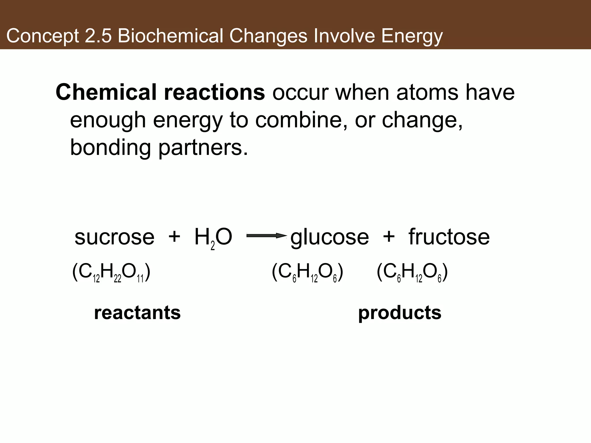 Concept 2.5 Biochemical Changes Involve Energy
Chemical reactions occur when atoms have
enough energy to combine, or change,
bonding partners.
sucrose + H2O glucose + fructose
(C12H22O11) (C6H12O6) (C6H12O6)
reactants products
 