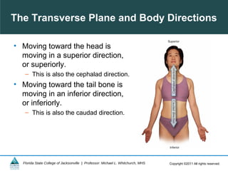 Ch02 body organization_2013 | PPT