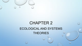CHAPTER 2
ECOLOGICAL AND SYSTEMS
THEORIES
 