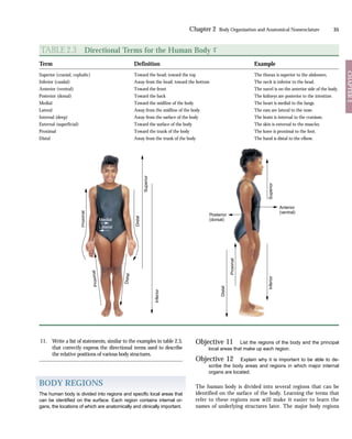 Forms Example Anatomy Ch02 sample | PDF