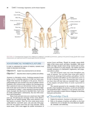 Male Development Structure Ch02 sample | PDF