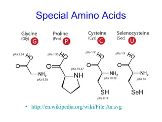 Special Amino Acids
• http://en.wikipedia.org/wiki/File:Aa.svg
 