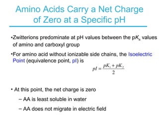 Amino Acids Carry a Net Charge
of Zero at a Specific pH
•Zwitterions predominate at pH values between the pKa values
of amino and carboxyl group
•For amino acid without ionizable side chains, the Isoelectric
Point (equivalence point, pI) is
• At this point, the net charge is zero
– AA is least soluble in water
– AA does not migrate in electric field
2
21 pKpK
pI
+
=
 
