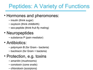 Peptides: A Variety of Functions
• Hormones and pheromones:
– insulin (think sugar)
– oxytocin (think childbirth)
– sex-peptide (think fruit fly mating)
• Neuropeptides
– substance P (pain mediator)
• Antibiotics:
– polymyxin B (for Gram - bacteria)
– bacitracin (for Gram + bacteria)
• Protection, e.g. toxins
– amanitin (mushrooms)
– conotoxin (cone snails)
– chlorotoxin (scorpions)
 