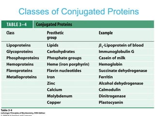 Classes of Conjugated Proteins
 