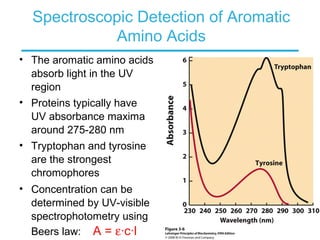 Spectroscopic Detection of Aromatic
Amino Acids
• The aromatic amino acids
absorb light in the UV
region
• Proteins typically have
UV absorbance maxima
around 275-280 nm
• Tryptophan and tyrosine
are the strongest
chromophores
• Concentration can be
determined by UV-visible
spectrophotometry using
Beers law: A = ε·c·l
 
