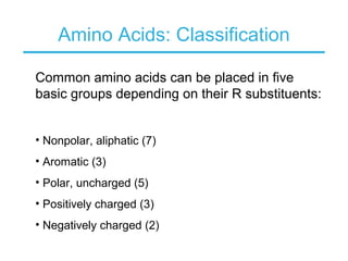 Amino Acids: Classification
Common amino acids can be placed in five
basic groups depending on their R substituents:
• Nonpolar, aliphatic (7)
• Aromatic (3)
• Polar, uncharged (5)
• Positively charged (3)
• Negatively charged (2)
 