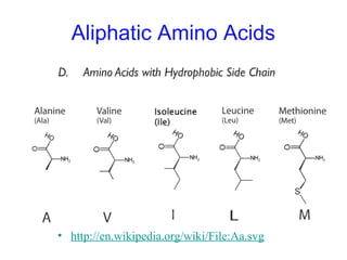 Aliphatic Amino Acids
• http://en.wikipedia.org/wiki/File:Aa.svg
 