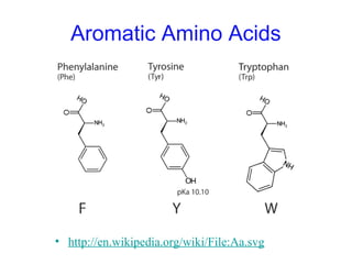 Aromatic Amino Acids
• http://en.wikipedia.org/wiki/File:Aa.svg
 