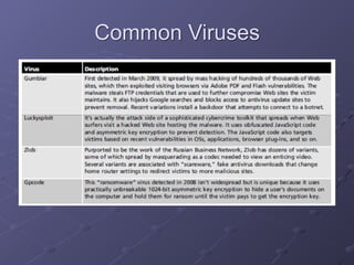 Ch 3: Network and Computer Attacks | PDF