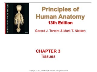 CHAPTER 3
Tissues
Principles of
Human Anatomy
13th Edition
Gerard J. Tortora & Mark T. Nielsen
Copyright © 2014 John Wiley & Sons, Inc. All rights reserved.
 