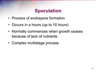 100
Sporulation
• Process of endospore formation
• Occurs in a hours (up to 10 hours)
• Normally commences when growth ceases
because of lack of nutrients
• Complex multistage process
 